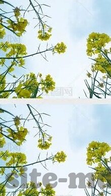 调教视频麻豆-调教视频中麻豆的多样性与社会影响，浅析现代视觉文化的一隅